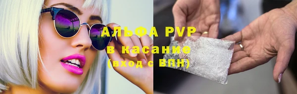 стаф Белая Холуница