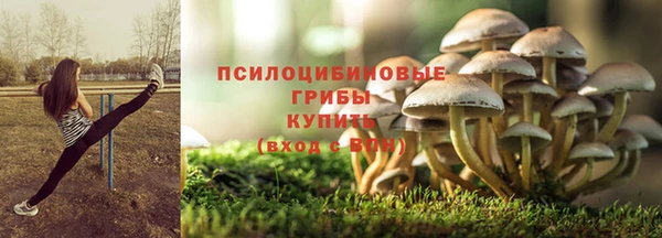 PSILOCYBIN Беломорск