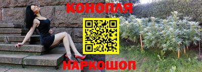 гидра Апрелевка