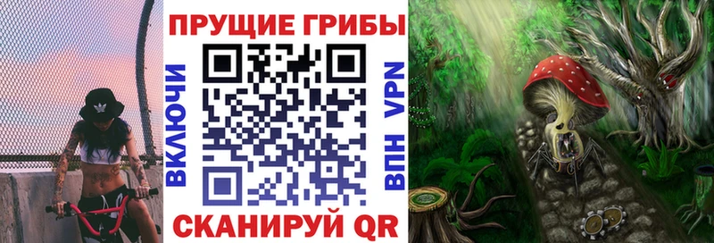 цены   Владикавказ  Псилоцибиновые грибы Cubensis 