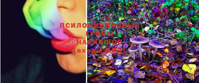 Псилоцибиновые грибы Magic Shrooms  Владикавказ 