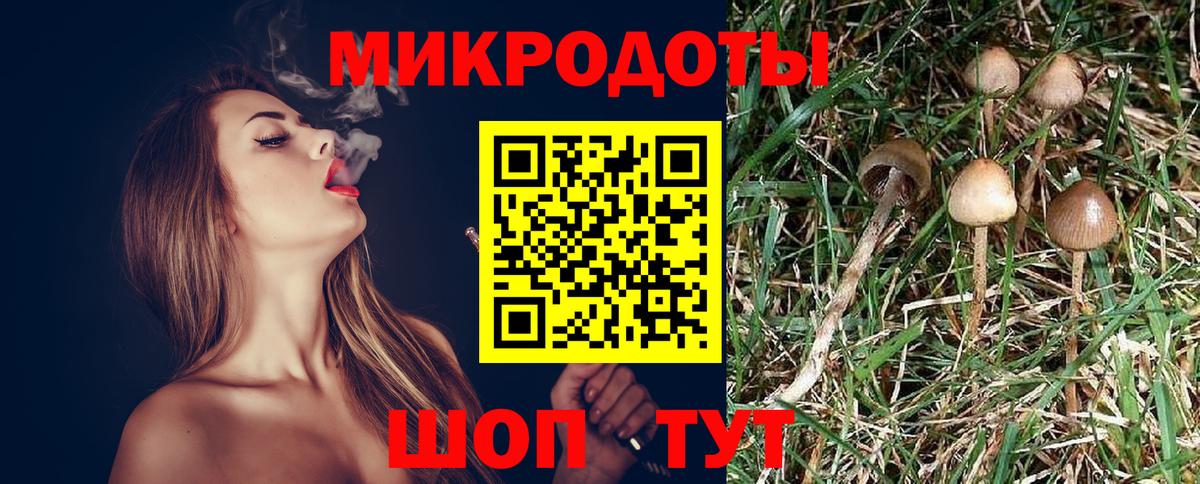 где купить наркоту  Вход с VPN  Владикавказ  Галлюциногенные грибы мухоморы 