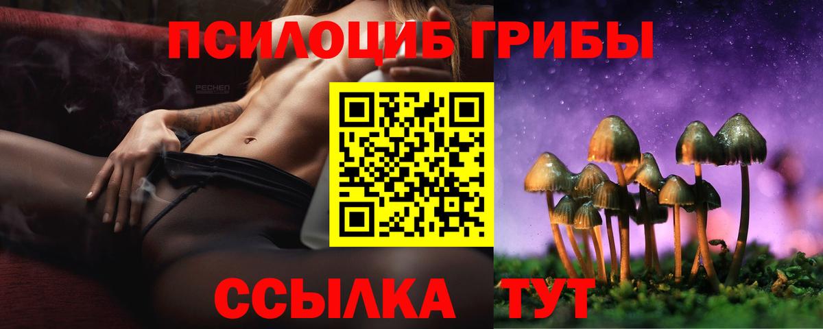 Галлюциногенные грибы Psilocybe  Владикавказ 