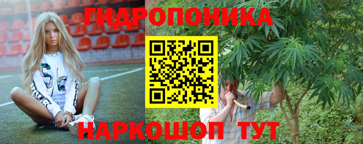 Бошки Шишки ГИДРОПОН  Канабис MAZAR  Марихуана планчик  Владикавказ 